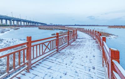 雪后的外滩湿地