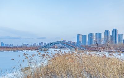 雪后的外滩湿地