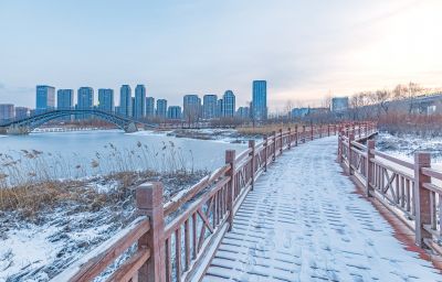 雪后的外滩湿地