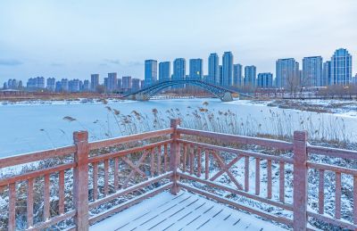 雪后的外滩湿地
