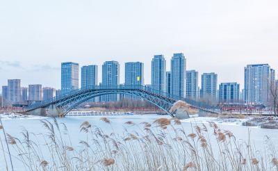 雪后的外滩湿地
