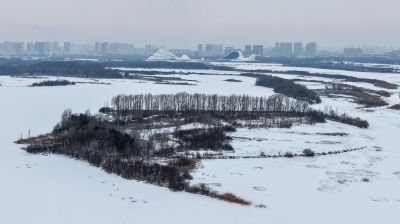 11月28日雪后松花江湿地