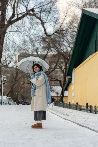 雪后的黄房子