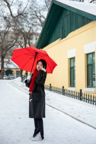 雪后的黄房子