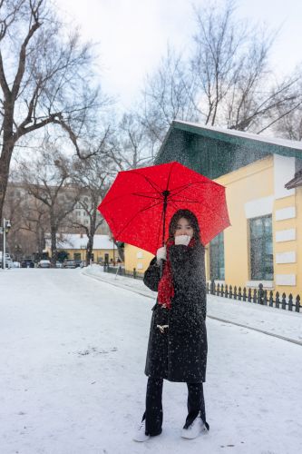 雪后的黄房子