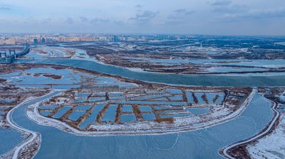 阳明滩大桥湿地