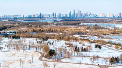 阳明滩大桥湿地