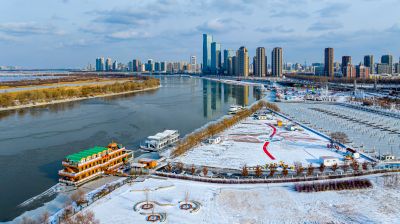 群力雪后风景