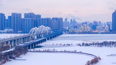 雪后太阳岛湿地
