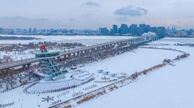 雪后太阳岛湿地