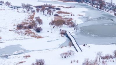 雪后太阳岛湿地