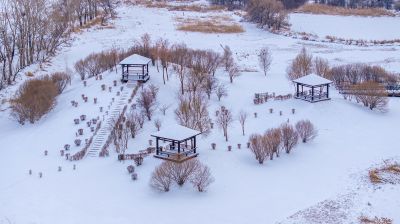 雪后太阳岛湿地