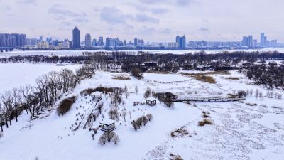 雪后太阳岛湿地