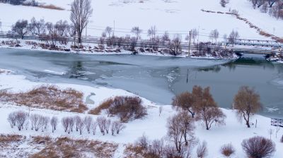 雪后太阳岛湿地
