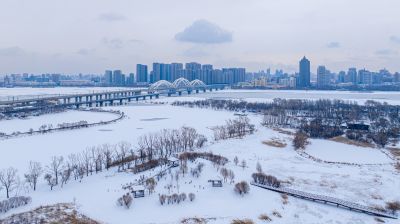 雪后太阳岛湿地