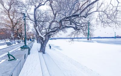 雪后的江畔 