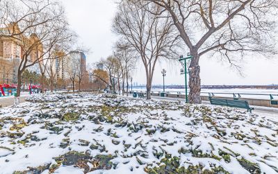雪后的松花江畔 九站公园