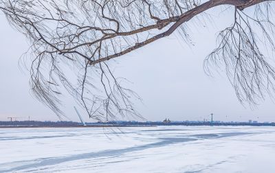 雪后的松花江畔 九站公园