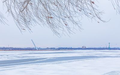 雪后的松花江畔 九站公园