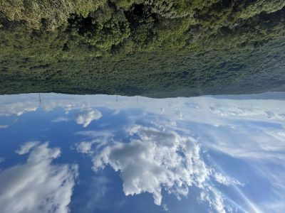 环境