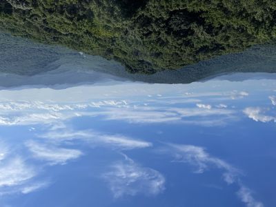 环境