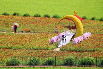 城市