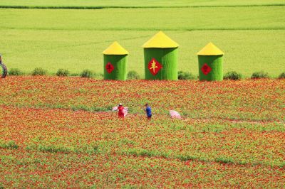 城市