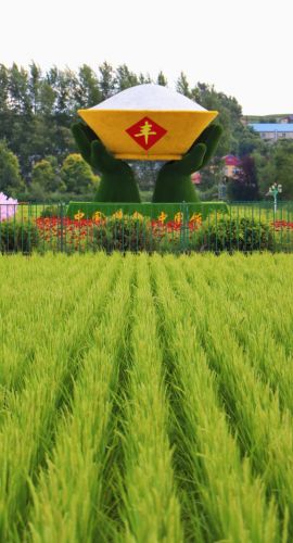 城市