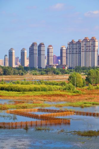 城市