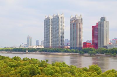 城市