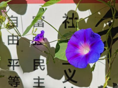 动植物