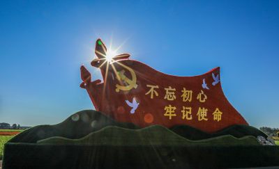 城市