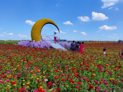 风景