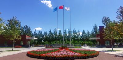 城市