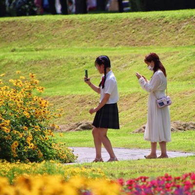 城市