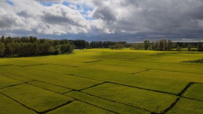 城市
