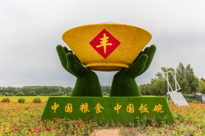 城市