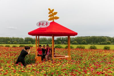 城市