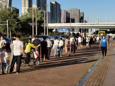 城市