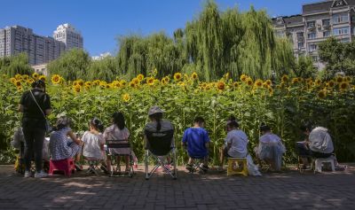 城市