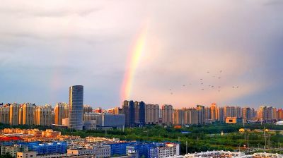城市