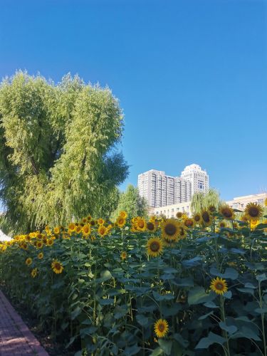 城市