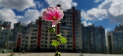 城市
