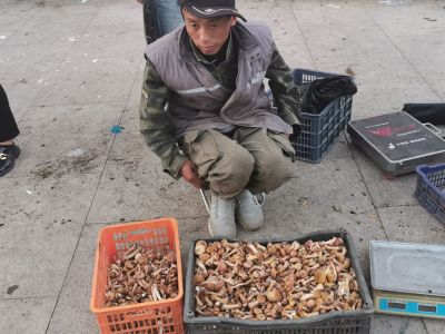 早市