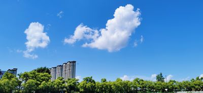 风景