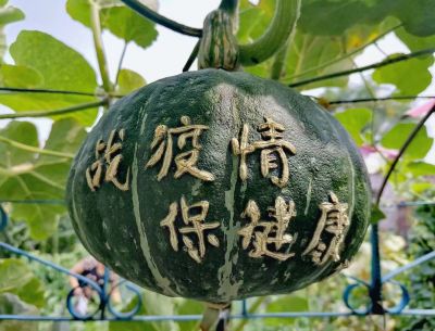 城市