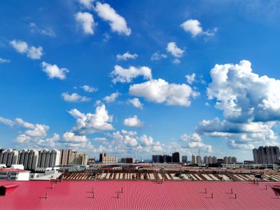 城市