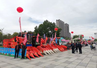 城市