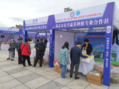 城市