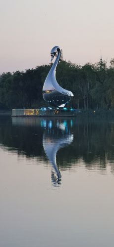 城市